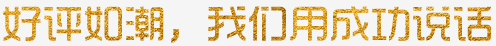 好評如潮，我們用成功說話