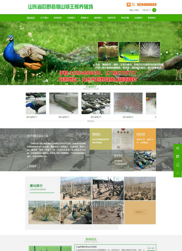 山東菏澤孔雀養殖場