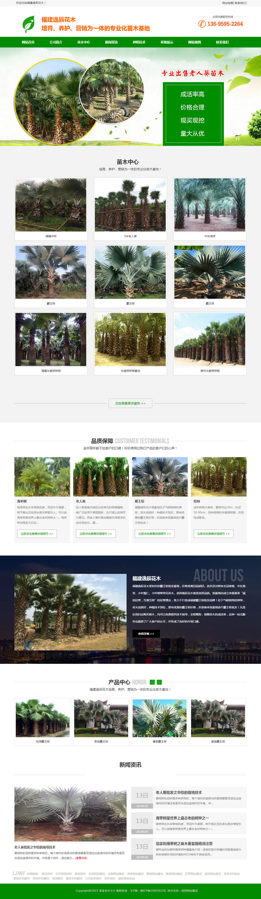 霸王棕_霸王棕價(jià)格_福建霸王棕-福建逸辰花木.jpg 霸王棕_霸王棕價(jià)格_福建霸王棕-福建逸辰花木.jpg