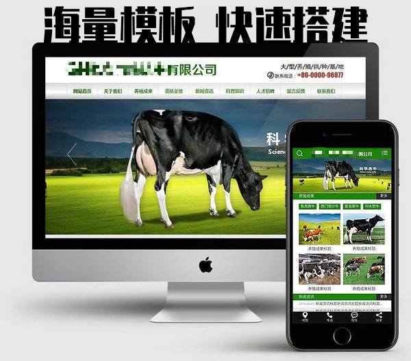 菏澤網站建設制作每年怎么收費